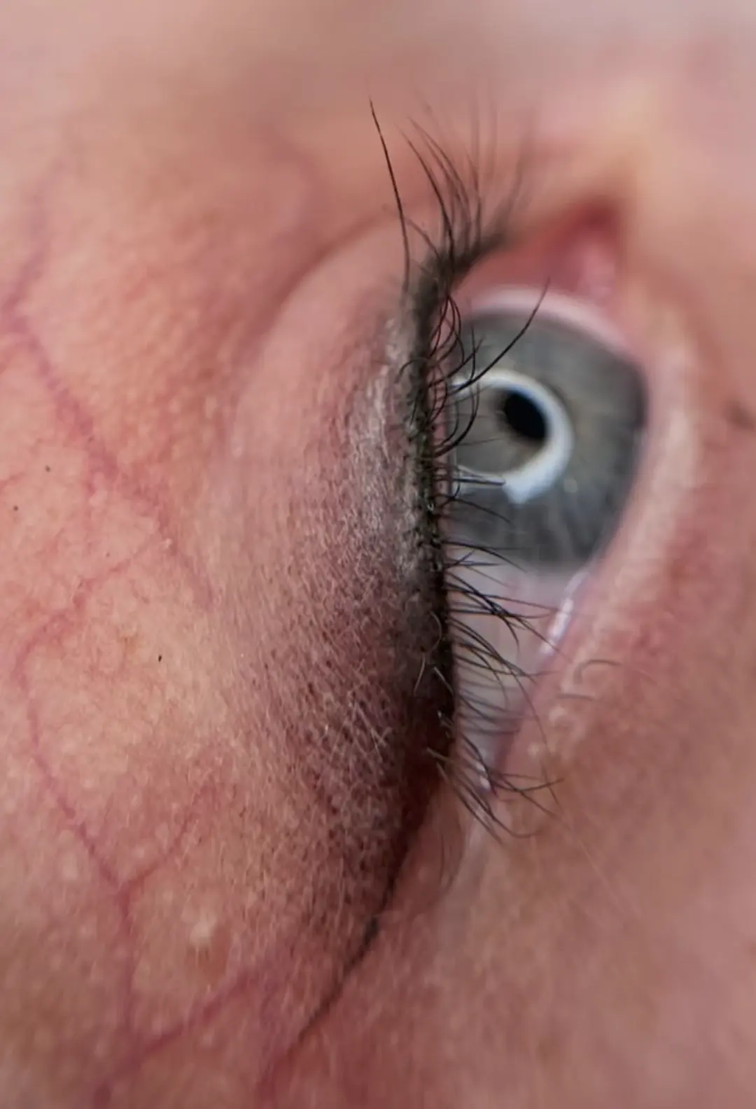 eyeliner tattoo cost