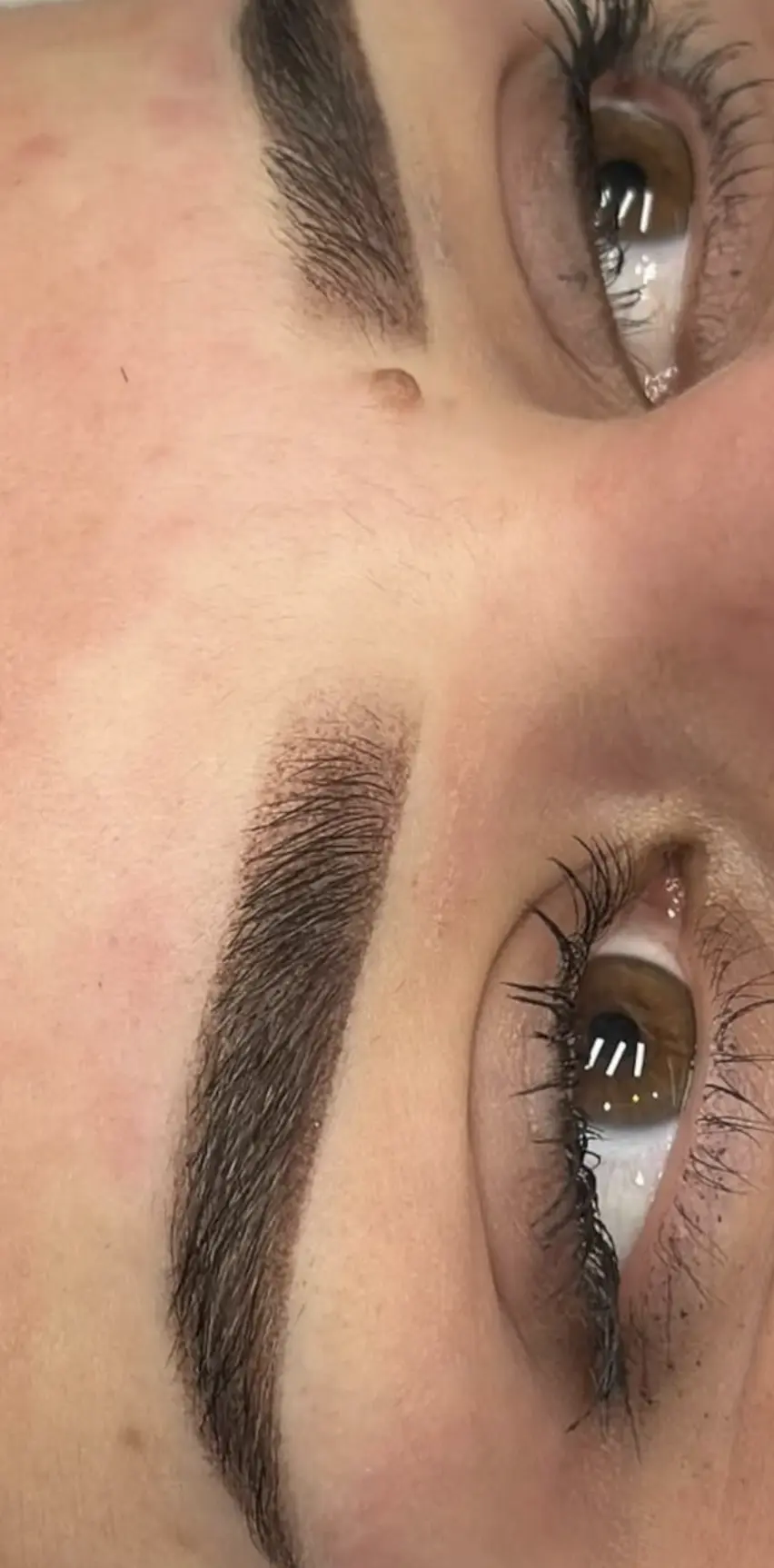 maybelline eyebrow tattoo